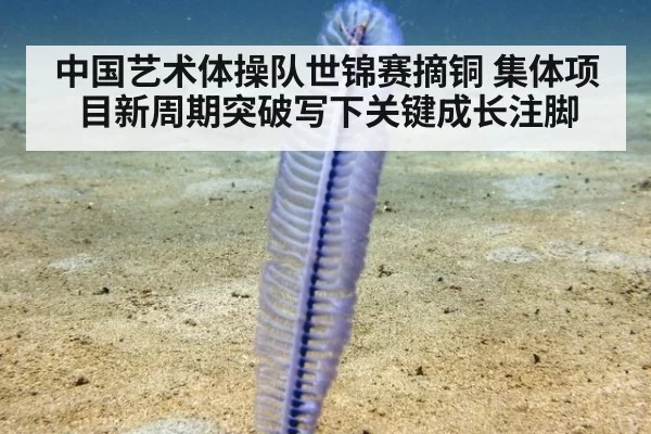 中国艺术体操队世锦赛摘铜 集体项目新周期突破写下关键成长注脚