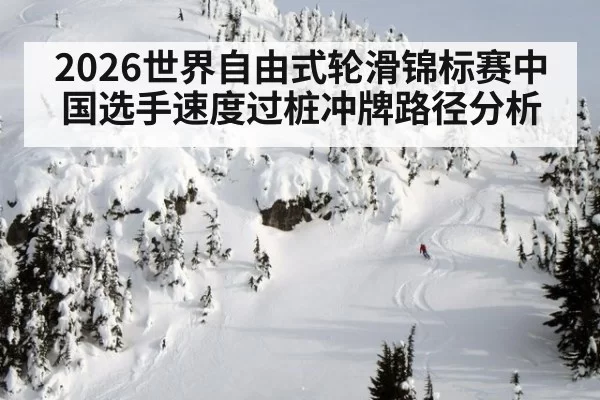 2026世界自由式轮滑锦标赛中国选手速度过桩冲牌路径分析